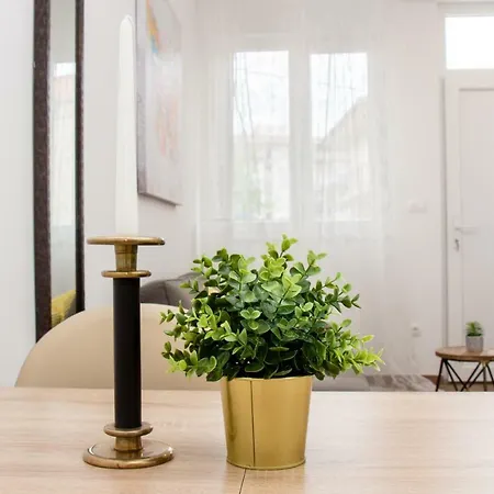 Urban Apartment Split